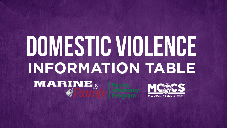 Domestic Violence Information Table